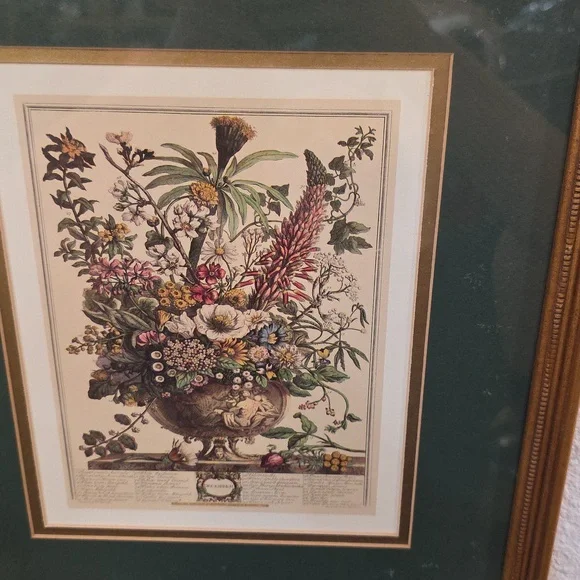 Robert Furbe's Twelve Months Of Flowers Framed Floral Art Print with Gold Frame - Picture 6 of 11